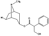 消旋山莨菪碱